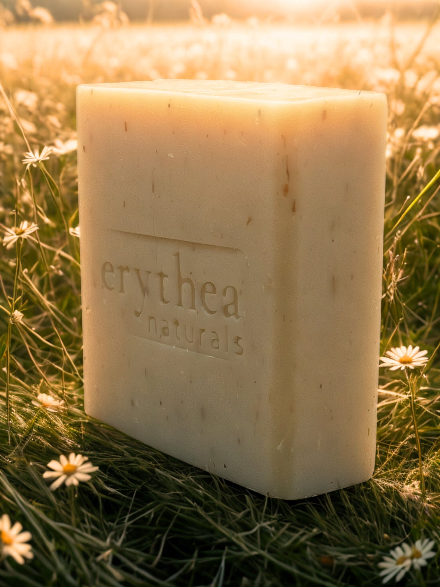 Mediterrane Gänseblümchen Seife