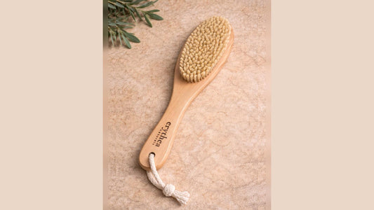 Holz Körperbürste von Erythea Naturals für natürliches Körperpeeling