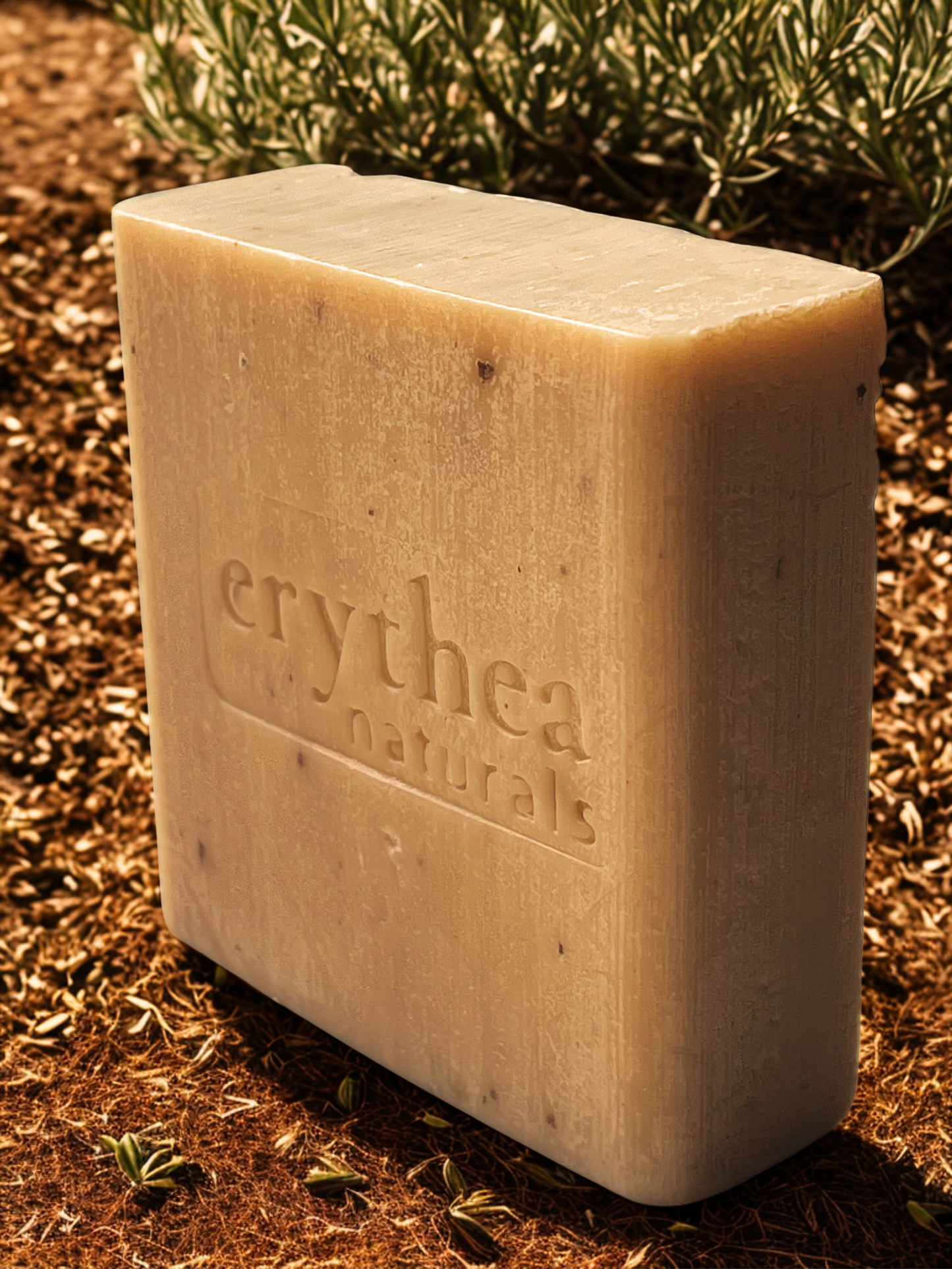 Mediterrane Olivenblatt Seife