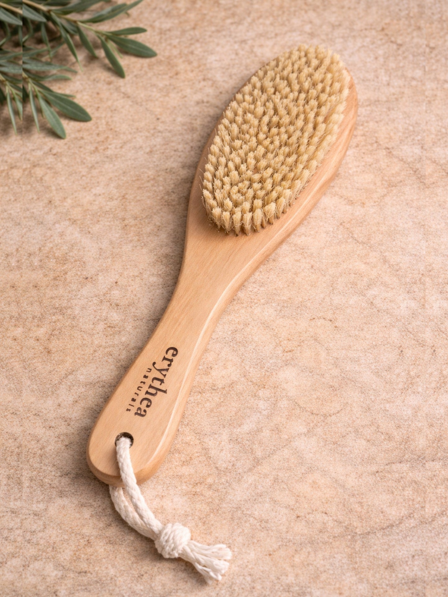 Holz Körperbürste
